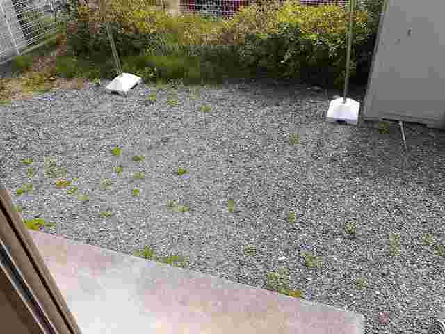 11/20 その他画像