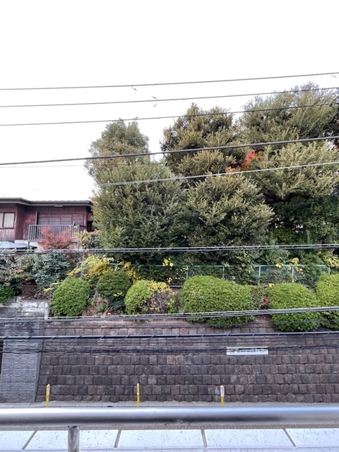 14/14 その他画像