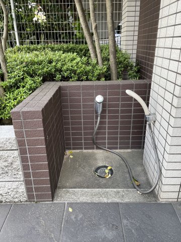 15/21 その他画像