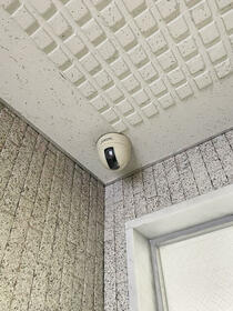 4/16 その他画像