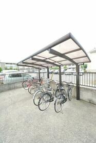 15/17 その他画像