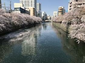 15/16 その他画像