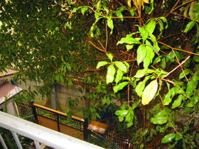 13/22 その他画像