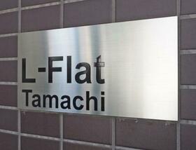 3/12 その他画像