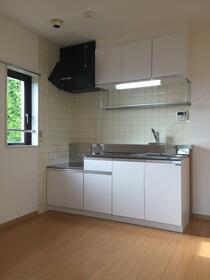 3/16 その他画像