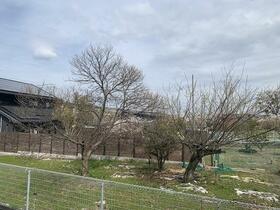 16/16 その他画像