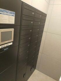 11/11 その他画像