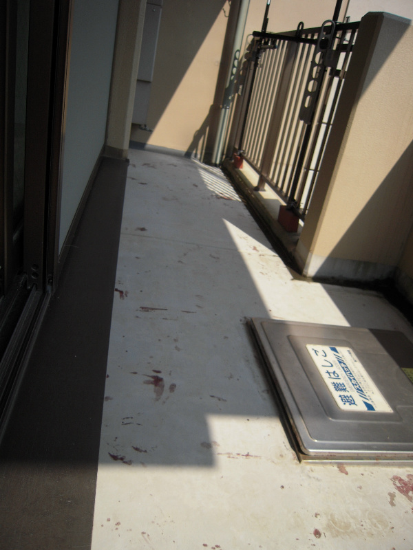 10/13 バルコニー