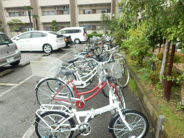 5/17 その他画像