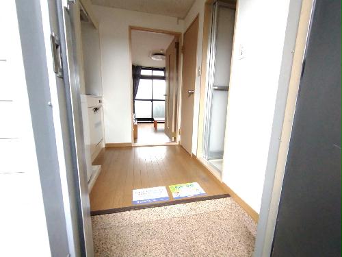 11/14 その他画像