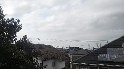 10/14 その他画像