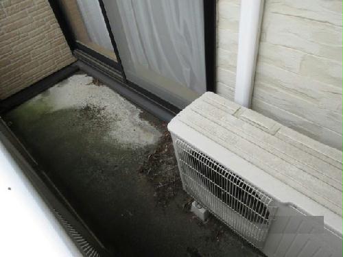 10/14 その他画像