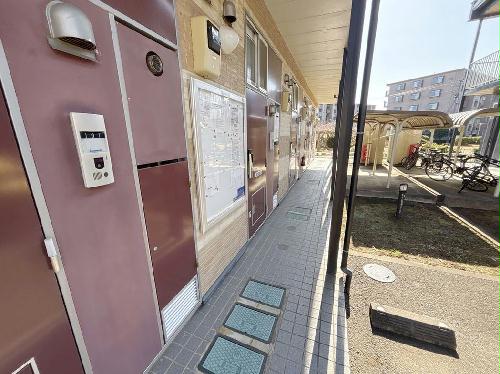 11/14 その他画像