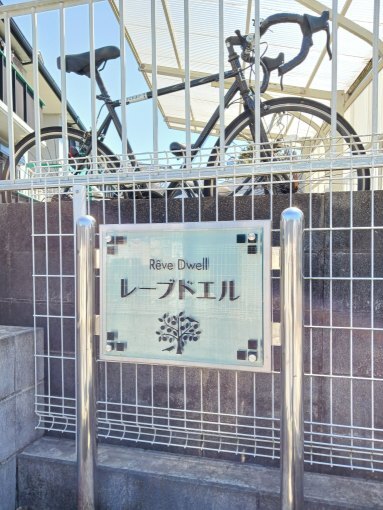 11/20 その他画像