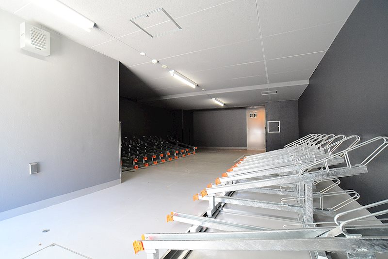 11/13 その他画像