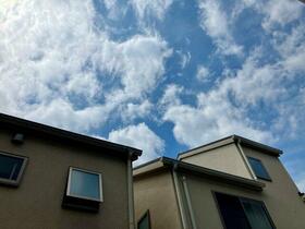 15/16 その他画像