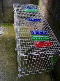 15/15 その他画像