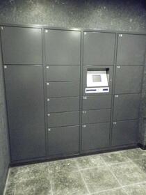 15/16 その他画像