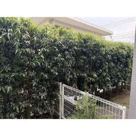 13/15 その他画像