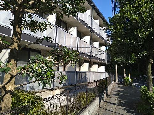 11/21 その他画像