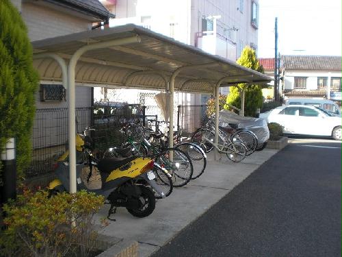 11/14 その他画像