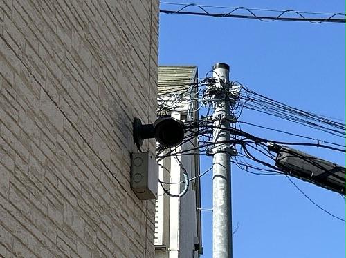 6/13 その他画像