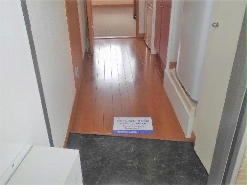 5/24 玄関