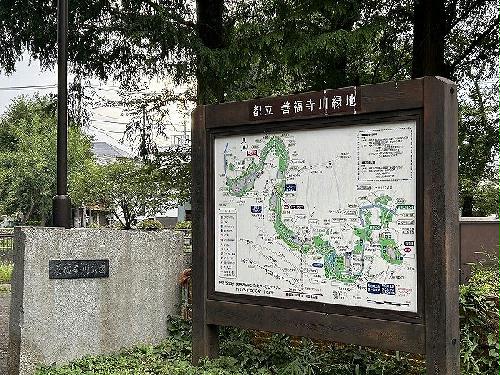 11/14 その他画像