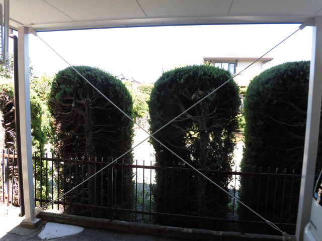 20/30 その他画像