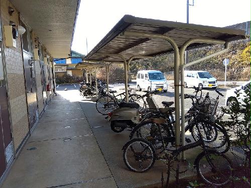 11/14 その他画像