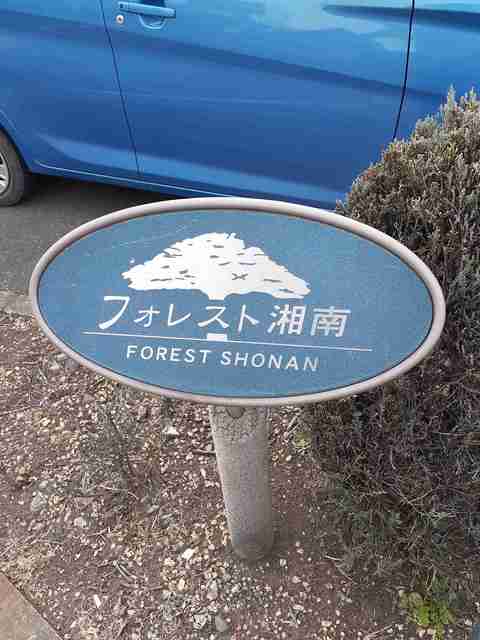 5/24 その他画像