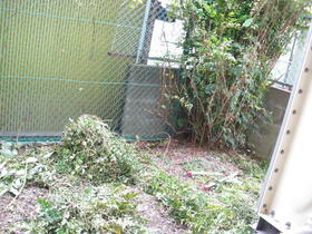 13/13 その他画像