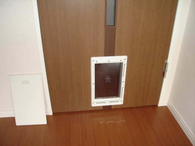 19/25 その他画像