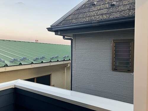 11/11 その他画像