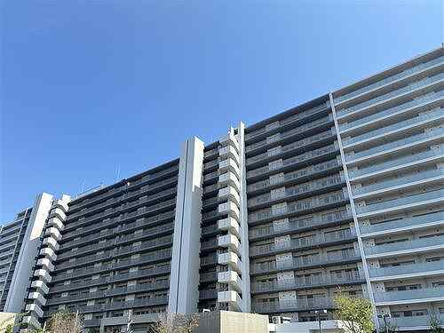 10/11 その他画像