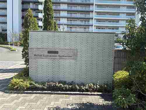 6/11 その他画像