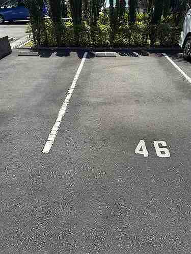 8/11 その他画像