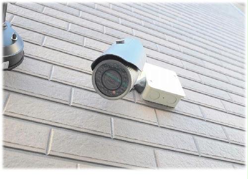 3/10 その他画像