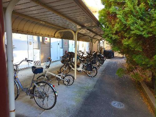 5/12 その他画像