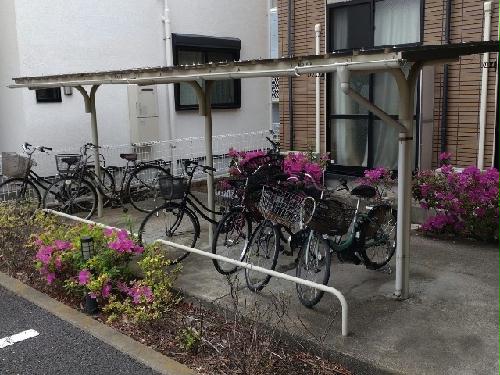 14/14 その他画像