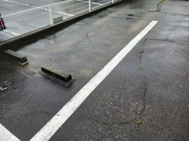 3/22 その他画像