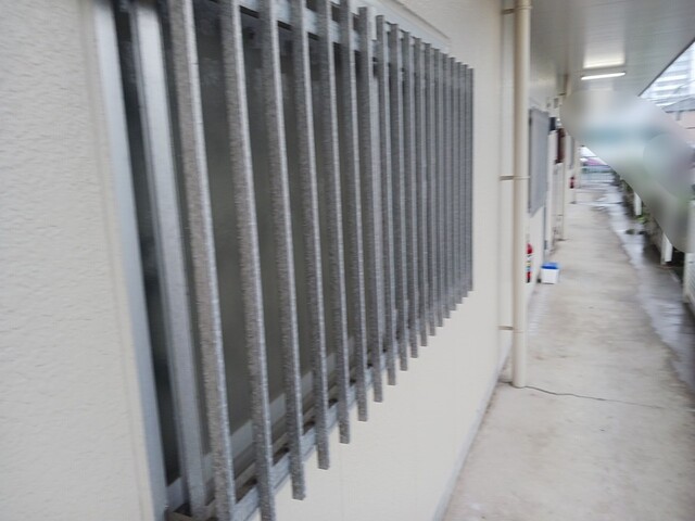 6/22 その他画像