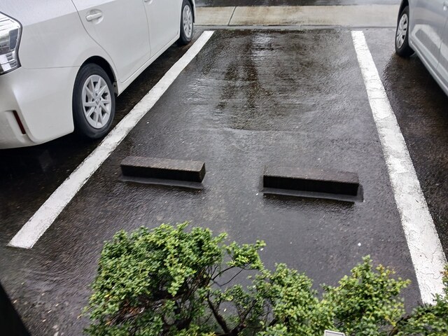 7/22 その他画像