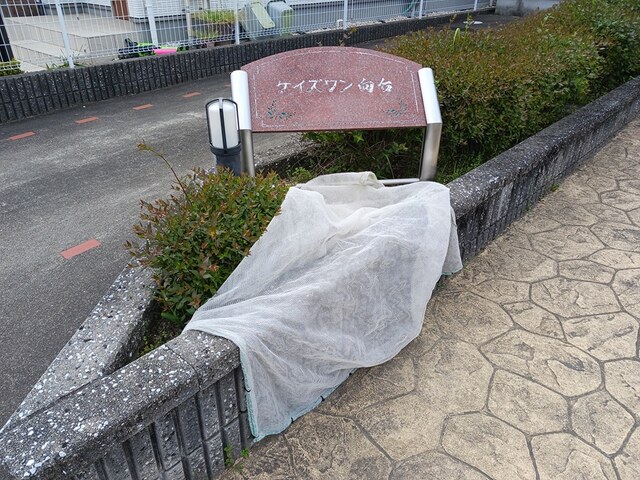 4/22 その他画像