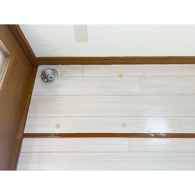 13/24 その他画像