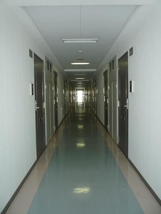 11/17 その他画像