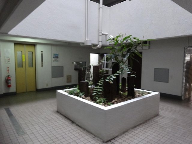 4/6 エントランス