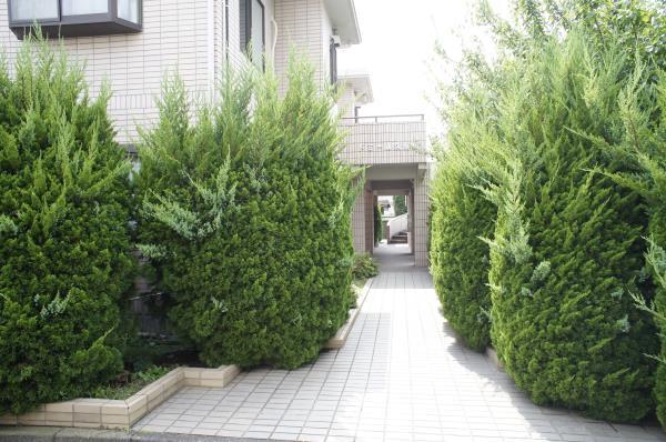 4/6 エントランス