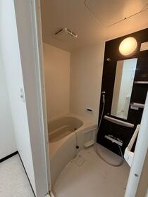 5/16 その他画像