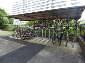 15/16 その他画像